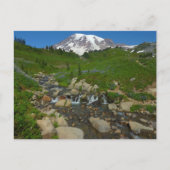 Edith Creek in Mount Rainier National Park Briefkaart (Voorkant)