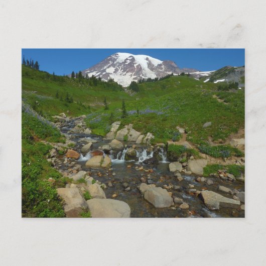 Edith Creek in Mount Rainier National Park Briefkaart (Voorkant)