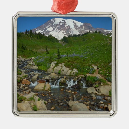Edith Creek in Mount Rainier National Park Metalen Ornament (Voorkant)