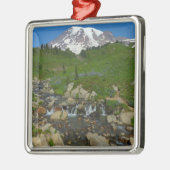 Edith Creek in Mount Rainier National Park Metalen Ornament (Links)