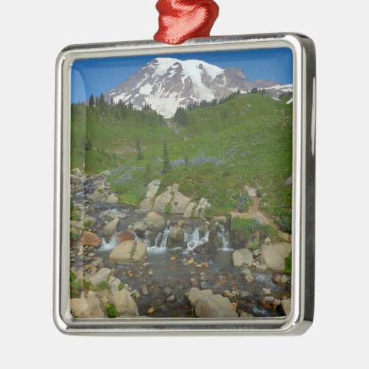 Edith Creek in Mount Rainier National Park Metalen Ornament (Links)