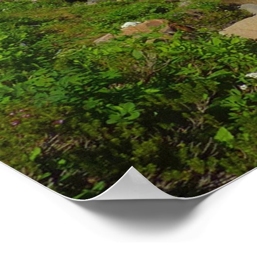 Edith Creek in Mount Rainier National Park Poster (Hoek)