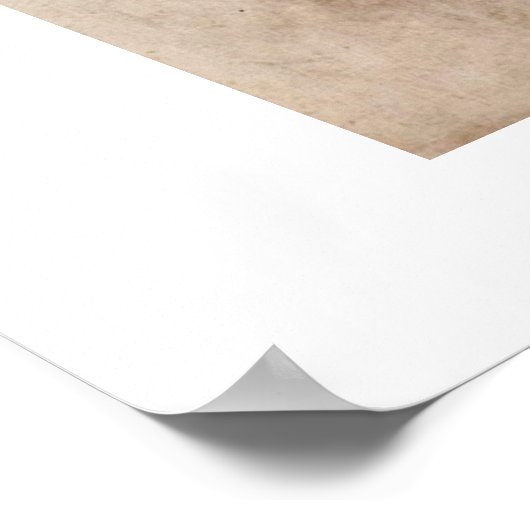 Edith Schiele in gestreept graf door Egon Schiele Poster (Hoek)