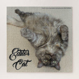 Editor Kat door RoseWrites Puzzel
