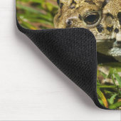 edmonton , alberta , canada 2 muismat (Hoek)