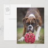 edmonton alberta canada briefkaart (Voorkant / Achterkant)