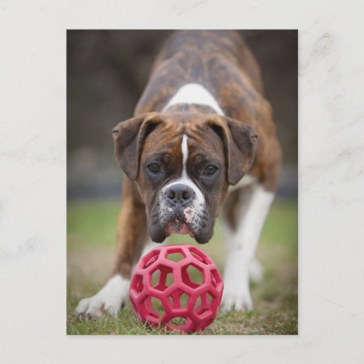 edmonton alberta canada briefkaart (Voorkant)