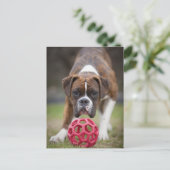 edmonton alberta canada briefkaart (Staand voorkant)