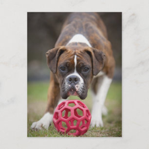 edmonton alberta canada briefkaart