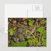 edmonton , alberta , canada briefkaart (Voorkant / Achterkant)