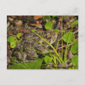 edmonton , alberta , canada briefkaart (Voorkant)