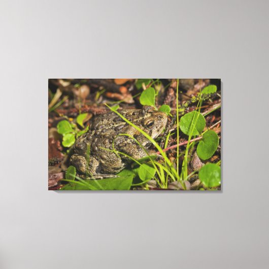 edmonton , alberta , canada canvas afdruk (Voorkant)