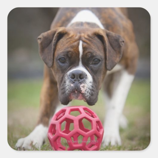 edmonton alberta canada vierkante sticker (Voorkant)