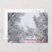 Edmonton, Alberta Winter Post-kaart Briefkaart (Voorkant / Achterkant)