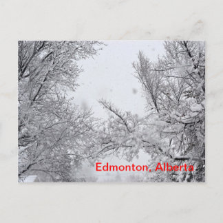 Edmonton, Alberta Winter Post-kaart Briefkaart