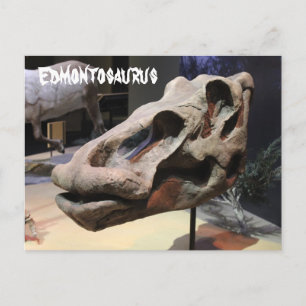 Edmontosaurus Briefkaart