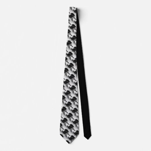 Edmund Fitzgerald Stropdas (Voorkant)