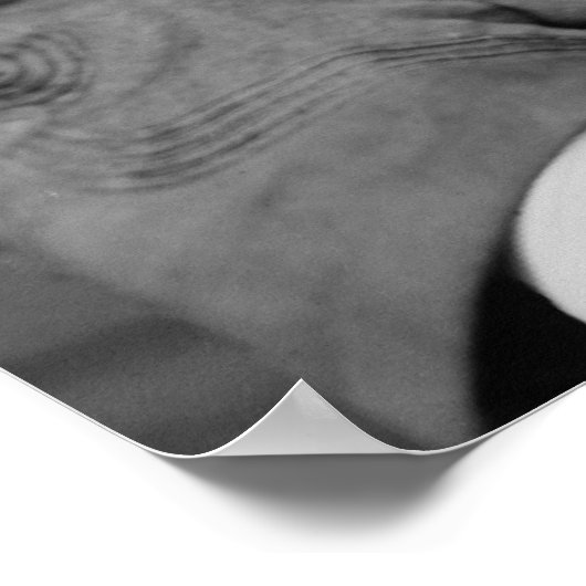 Edmund Kirby Smith Poster (Hoek)