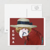 EDNA BRIEFKAART (Voorkant / Achterkant)