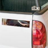 Edna Raven Poe Bumpersticker (Op Truck)