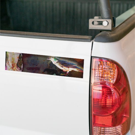 Edna Raven Poe Bumpersticker (Op Truck)