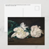 Edouard Manet - Branch of White Peonies, Secateurs Briefkaart (Voorkant / Achterkant)