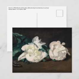 Edouard Manet - Branch of White Peonies, Secateurs Briefkaart