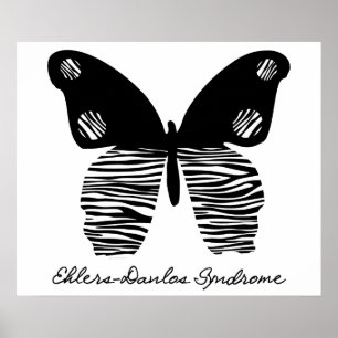 EDS Zebra Stripe Butterfly 24x20 Poster