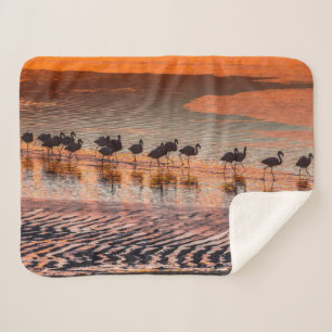 Eduardo Abaroa Andesfauna Nationaal Reservaat Sherpa Deken