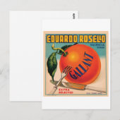 Eduardo Rosello Valencia Spanje Vintage Crate Labs Briefkaart (Voorkant / Achterkant)