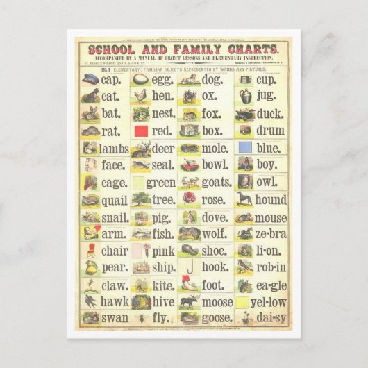 Educatief Grafiek voor Zichtbare Woorden Briefkaart (Voorkant)