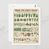 Educatieve botanische kaart voor bladeren, bloemen (Voorkant / Achterkant)