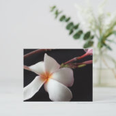 educatieve brainfart Plumeria Briefkaart (Staand voorkant)