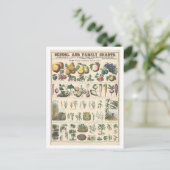 Educatieve kaart voor economisch gebruik voor Plan (Staand voorkant)