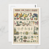 Educatieve kaart voor economisch gebruik voor Plan (Voorkant / Achterkant)