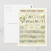 Educatieve kaart voor Plant Classificatie (Voorkant / Achterkant)