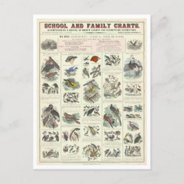 Educatieve kaart voor soorten vogels