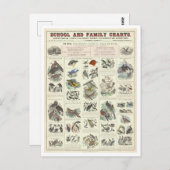 Educatieve kaart voor soorten vogels (Voorkant / Achterkant)