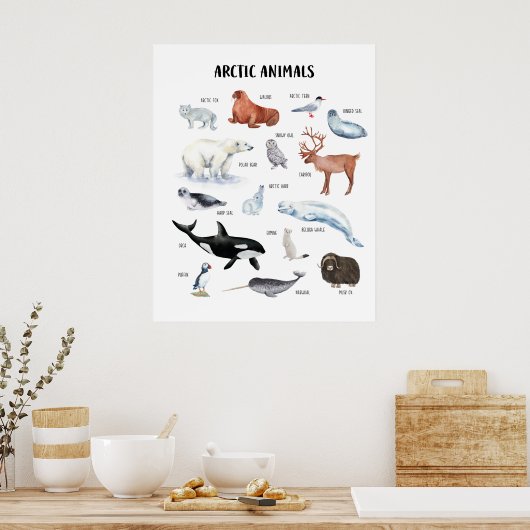 Educatieve klasposter met Arctische dieren Poster (Keuken)