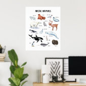 Educatieve klasposter met Arctische dieren Poster (Thuiskantoor)