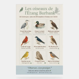 Educatieve poster – De vogels van de Burbank-vijve