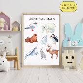 Educatieve Poster over Arctische Dieren