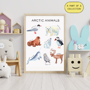 Educatieve Poster over Arctische Dieren