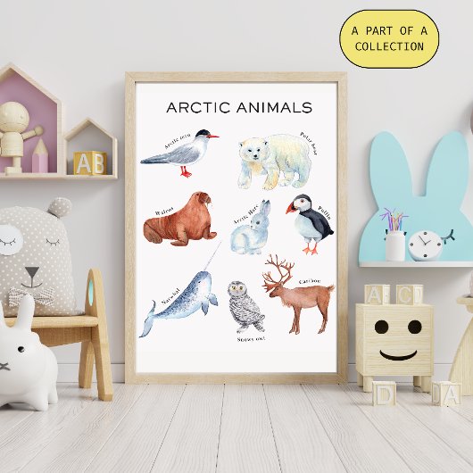 Educatieve Poster over Arctische Dieren