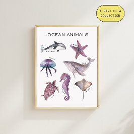 Educatieve Poster over Oceandieren