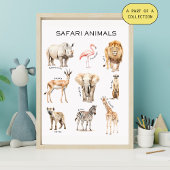 Educatieve Poster over Safari Dieren