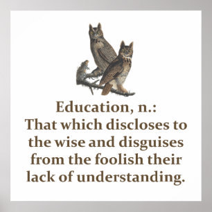 Education Noun - Education Quote Poster