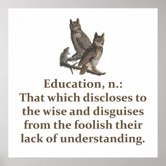Education Noun - Education Quote Poster (Voorkant)