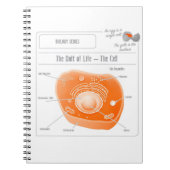 EduPaper-productcelspiraalband-laptop Notitieboek (Voorkant)