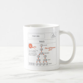 EduPaper-producten Mitose- en meiosis-koffie-Mok Koffiemok